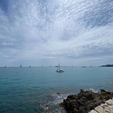 Charmingly Provencal In The Heart Of Old Apartman Antibes