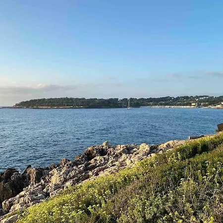 Charmingly Provencal In The Heart Of Old Apartman Antibes